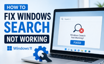Fix Windows Search Not Working